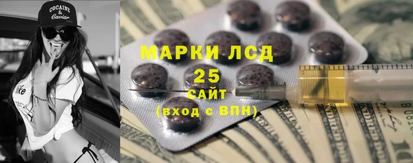 хмурый Кодинск