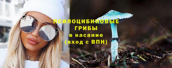 хмурый Кодинск